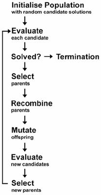 Cognitive and Structural Correlates of Conversational Speech Timing in Mild Cognitive Impairment and Mild-to-Moderate Alzheimer’s Disease: Relevance for Early Detection Approaches